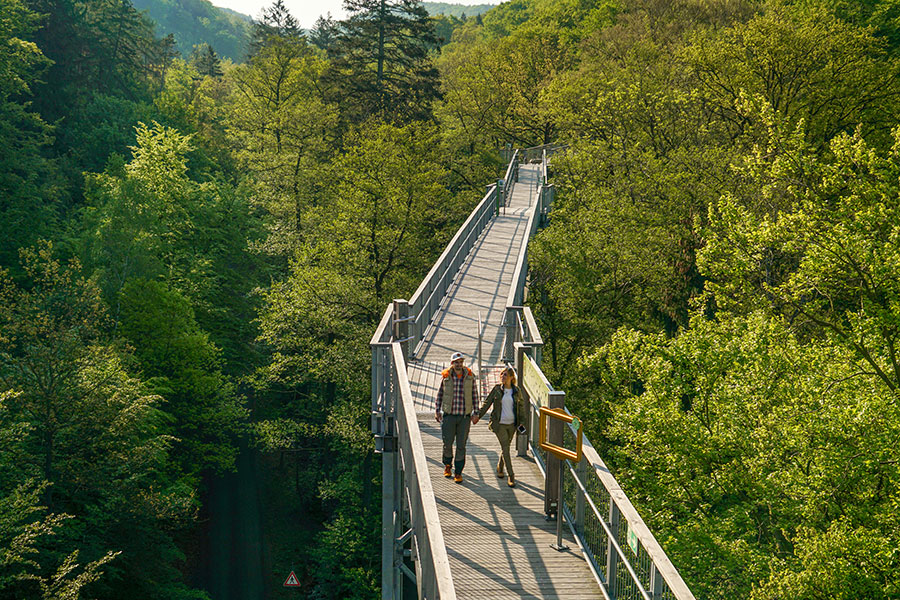 7-bad_harzburg(c)Baumwipfelpfad