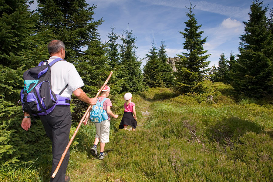 Stempelwandern-mit-der-Harzer-Wandernadel